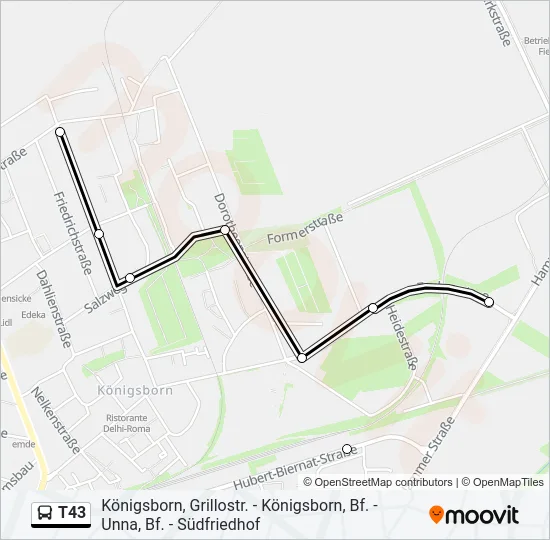T43 Bus Line Map