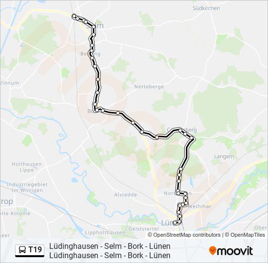 T19 bus Line Map