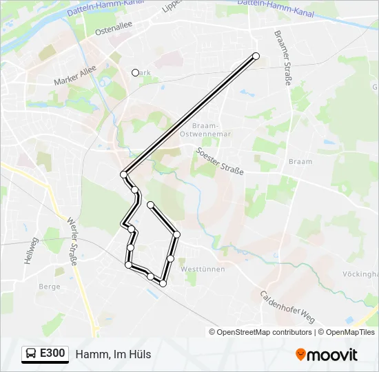 E300 Bus Line Map