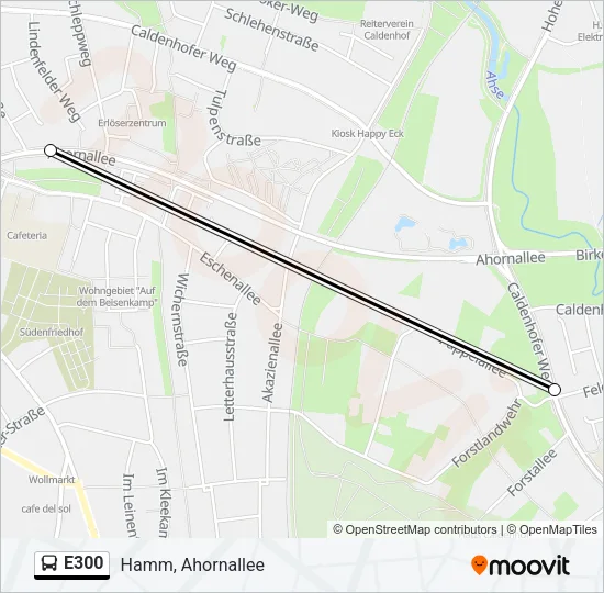 E300 Bus Line Map