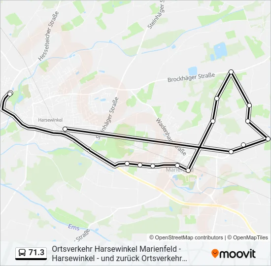 Автобус 71.3: карта маршрута