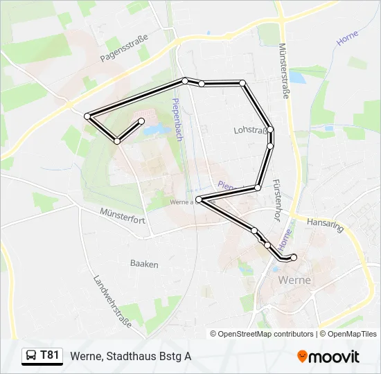 T81 Bus Line Map