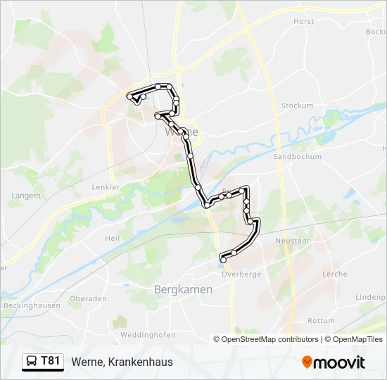 T81 Bus Line Map