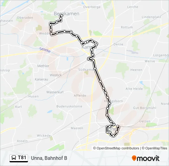 T81 Bus Line Map