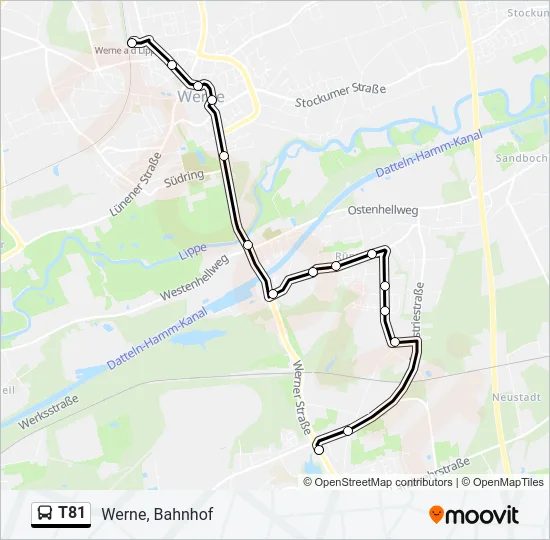 T81 Bus Line Map
