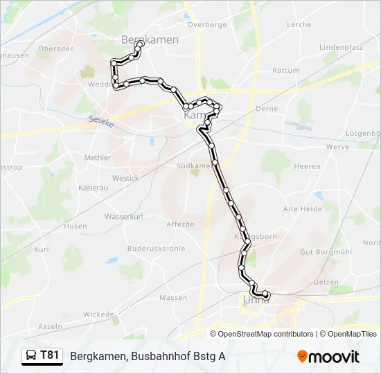 T81 Bus Line Map