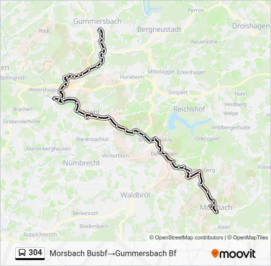 Buslinie 304 Karte