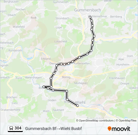 304 Bus Line Map