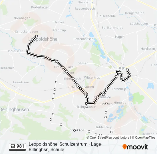 981 Bus Line Map