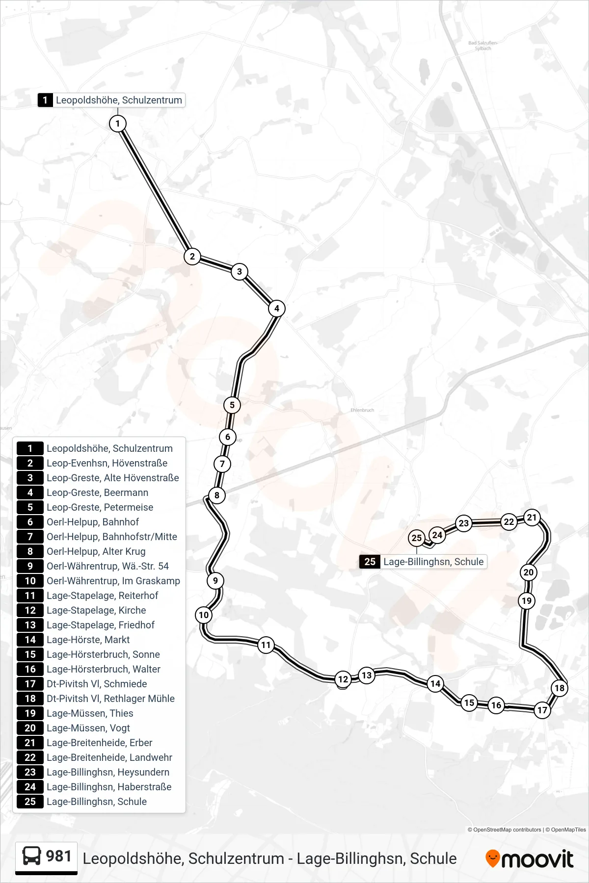 981 bus Line (Lage-Billinghsn, Schule) route and stops on a map