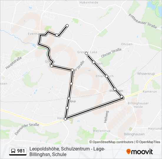 981 bus Line Map