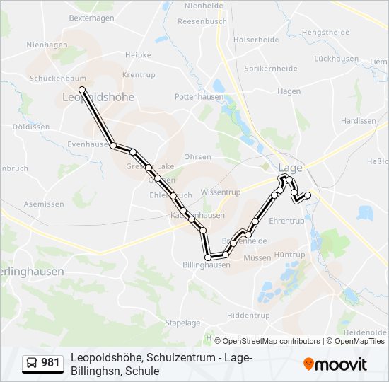 981 bus Line Map