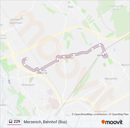 Автобус 229: карта маршрута