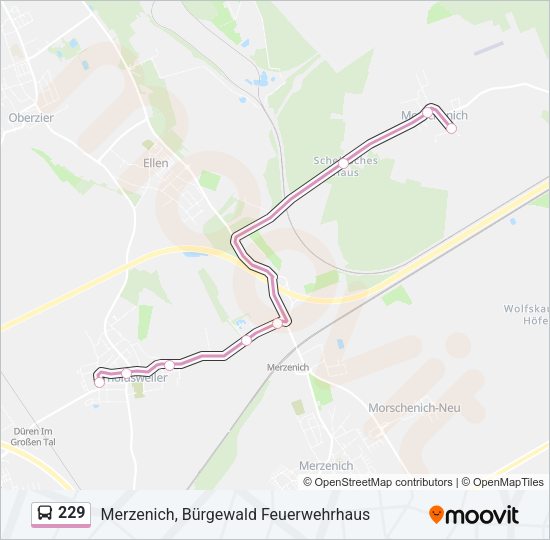 Автобус 229: карта маршрута