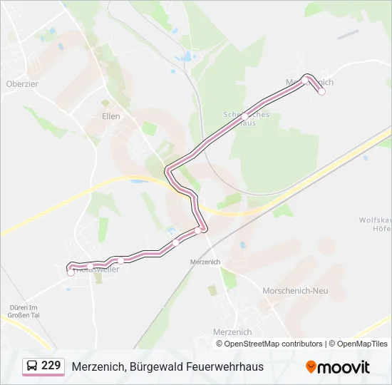 Автобус 229: карта маршрута