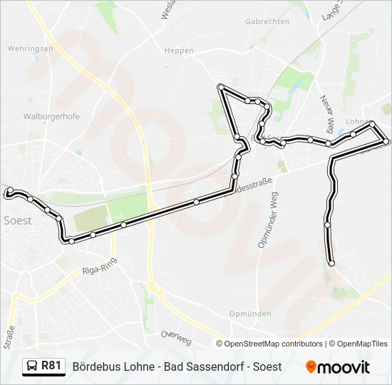 R81 Bus Line Map