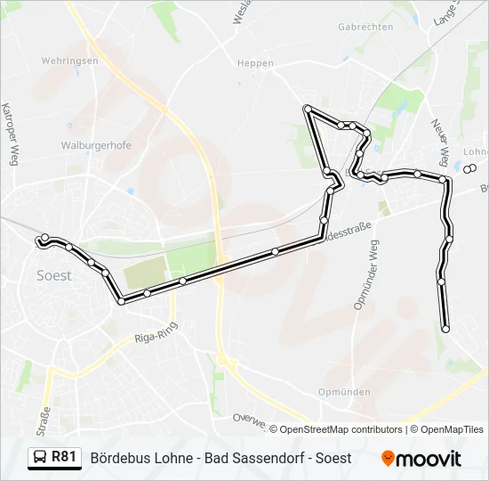R81 Bus Line Map