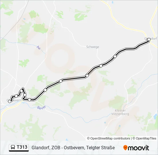 T313 Bus Line Map