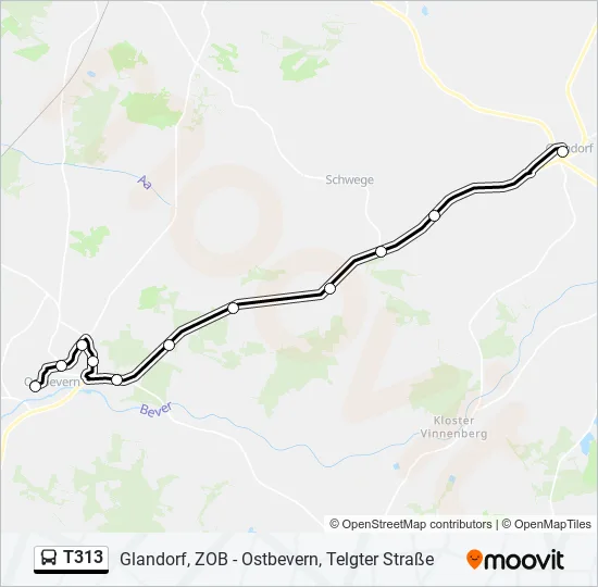 T313 Bus Line Map