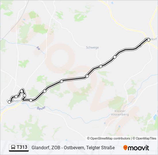 t313 Route Schedules, Stops & Maps Glandorf, Zob (Updated)