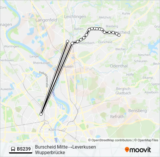 BS239 Bus Line Map