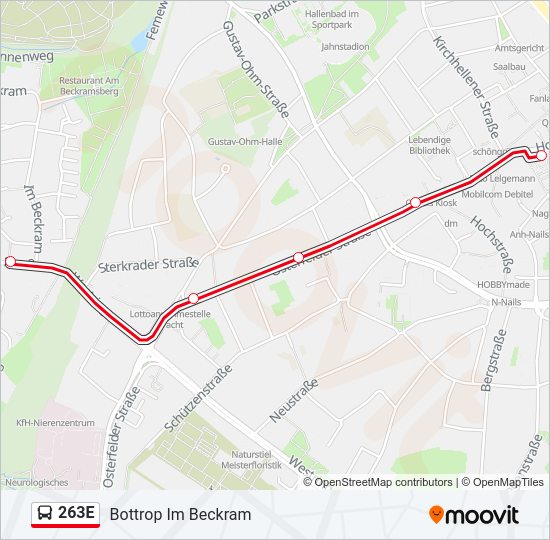 263E Bus Line Map
