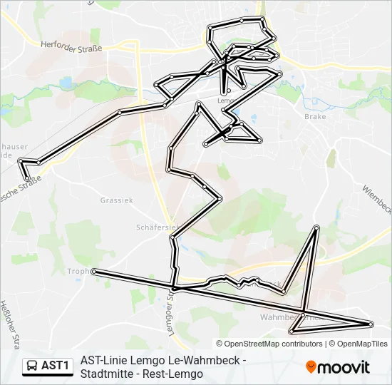 AST1 Bus Line Map