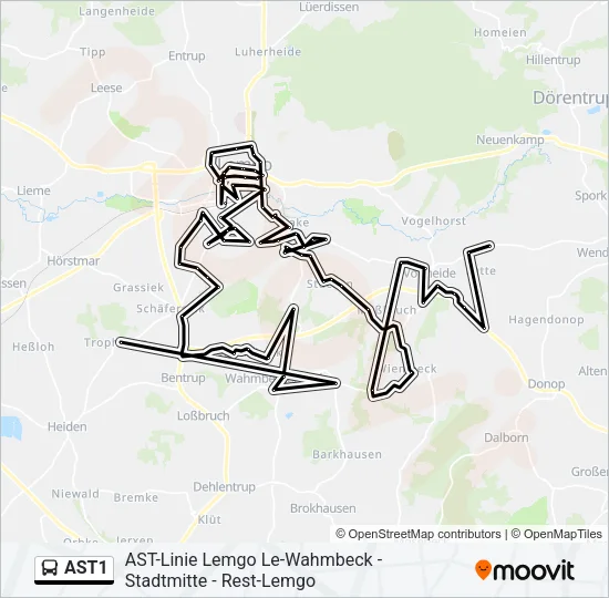 AST1 Bus Line Map