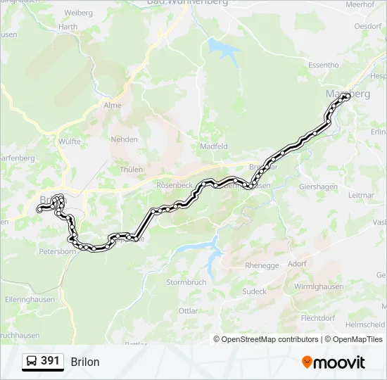 391 Bus Line Map