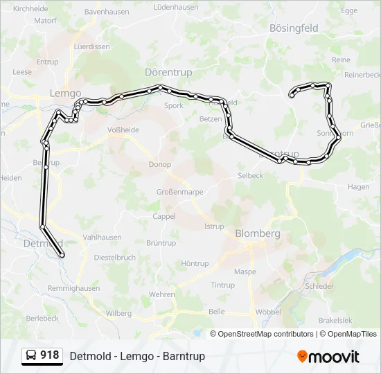 918 Bus Line Map