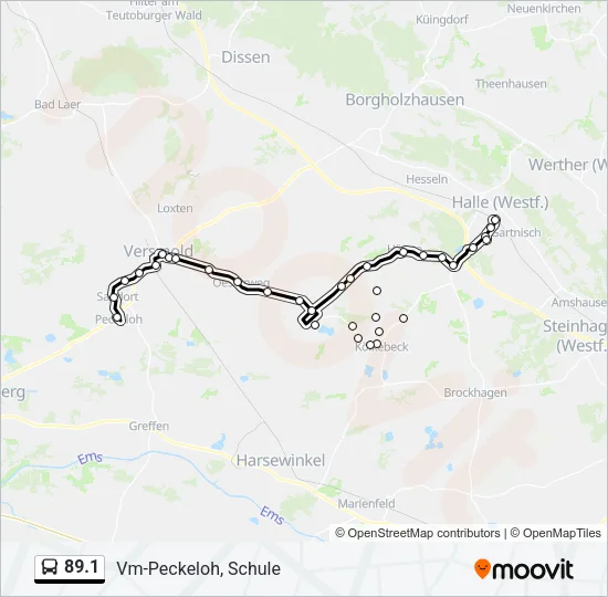 Автобус 89.1: карта маршрута