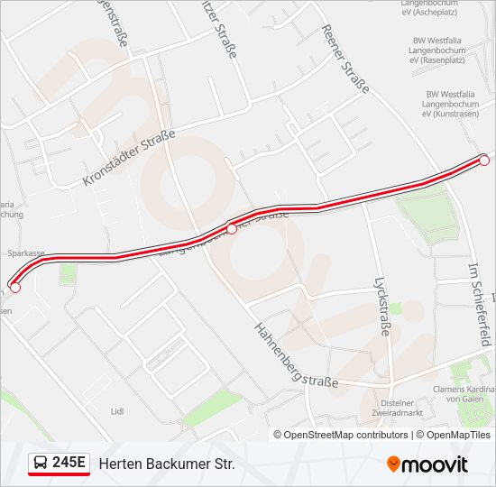 245E Bus Line Map