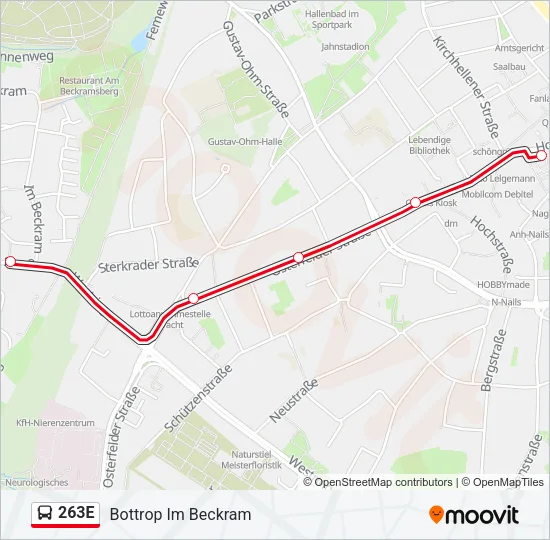 263E Bus Line Map
