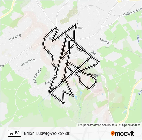 Автобус B1: карта маршрута