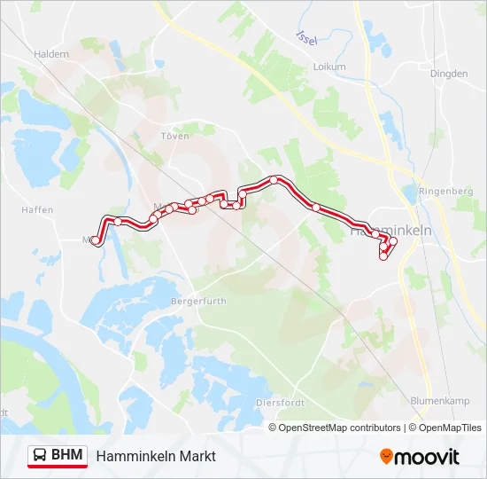 BHM Bus Line Map