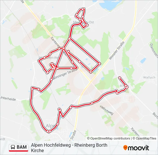 BAM Bus Line Map