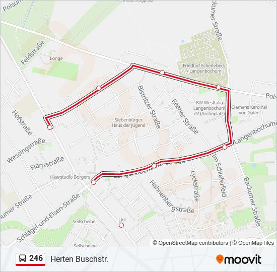 246 bus Line Map