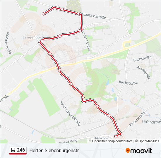 246 Bus Line Map