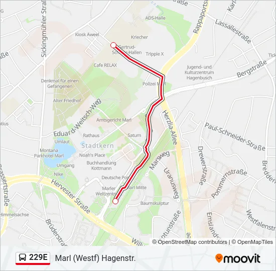 229E Bus Line Map
