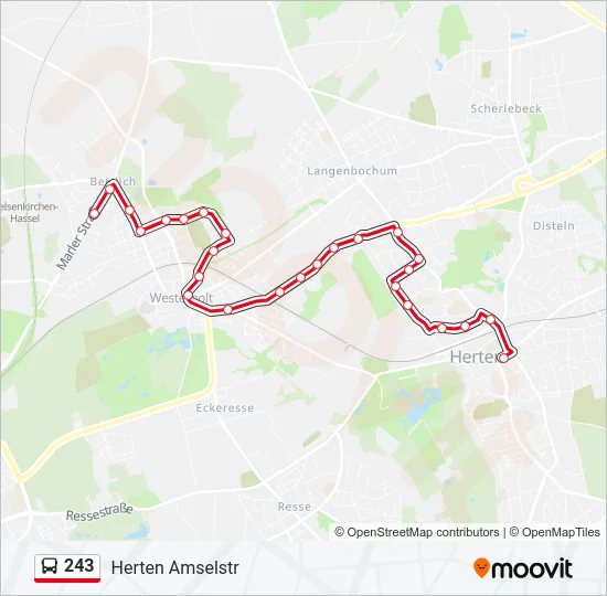243 Bus Line Map