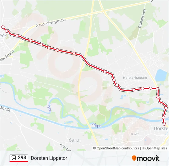 293 Bus Line Map