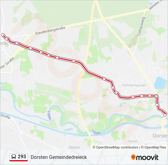 293 Bus Line Map