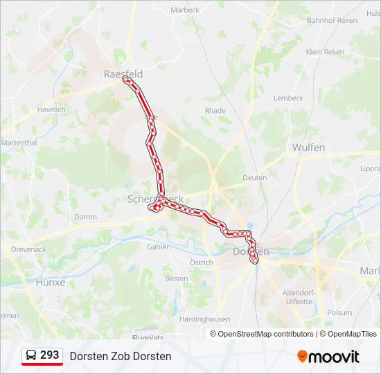 293 Bus Line Map