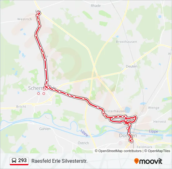 293 Bus Line Map