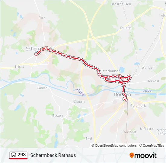 293 Bus Line Map