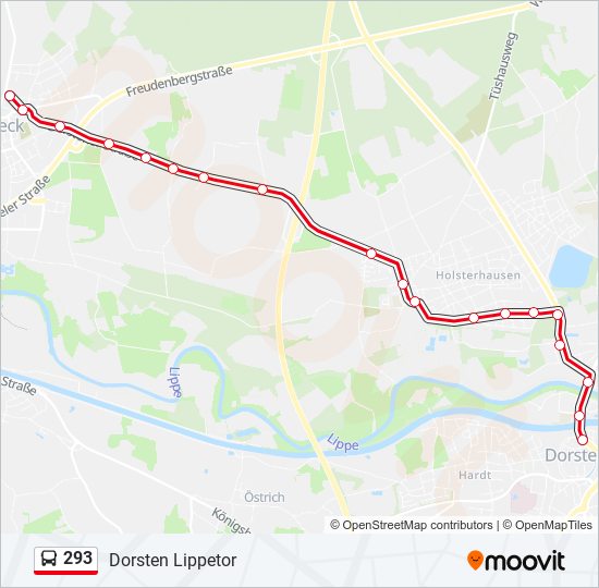 293 bus Line Map