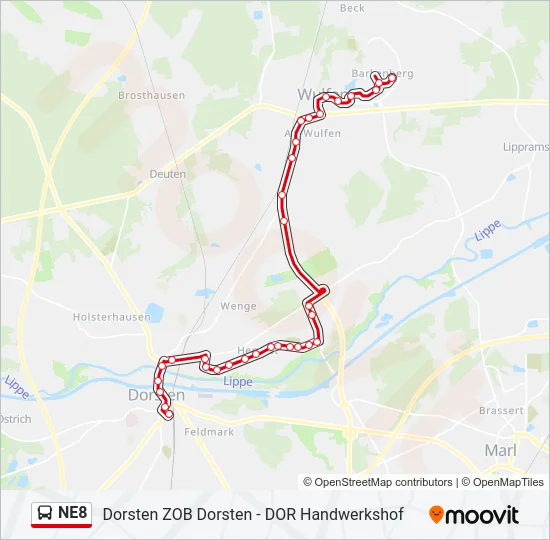 NE8 Bus Line Map