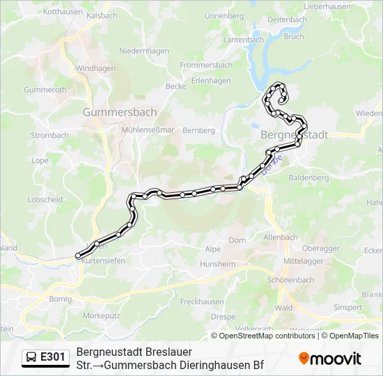 Buslinie E301 Karte