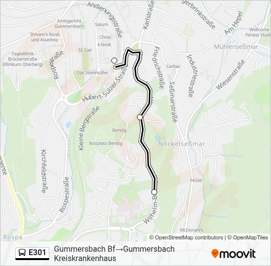 E301 Bus Line Map