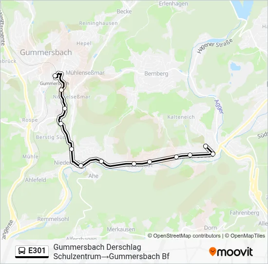 E301 Bus Line Map